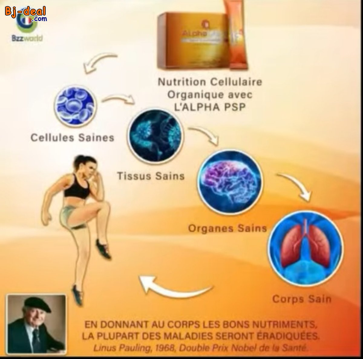 Image principale de ALPHAMETA NOURRITURE POUR LA CELLULE