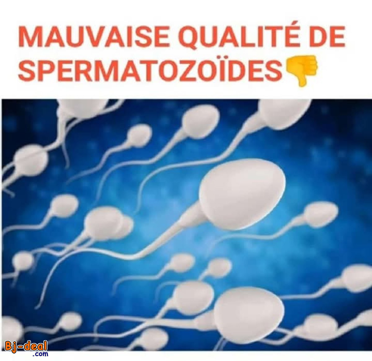 Image principale de ALPHAVMAX BOISSON NATURELLE POUR LES HOMMES