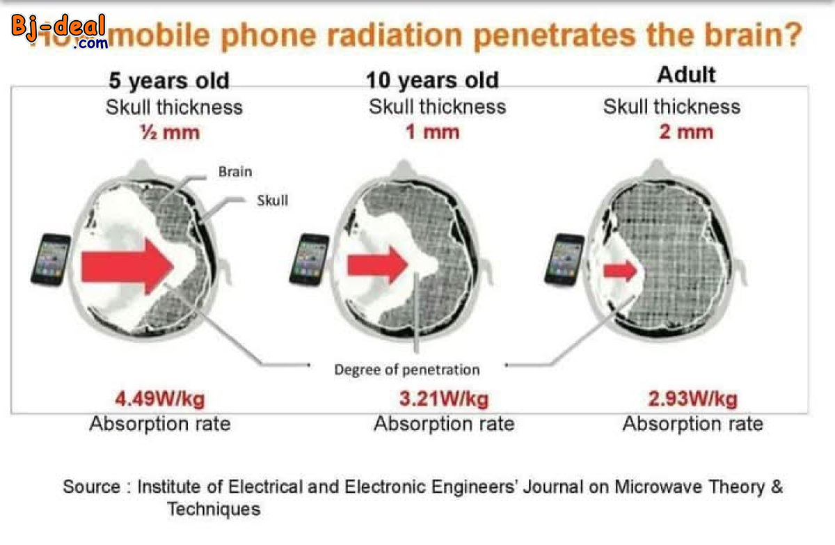 Image principale de ALPHA SPIN NATURAL BZZWORLD