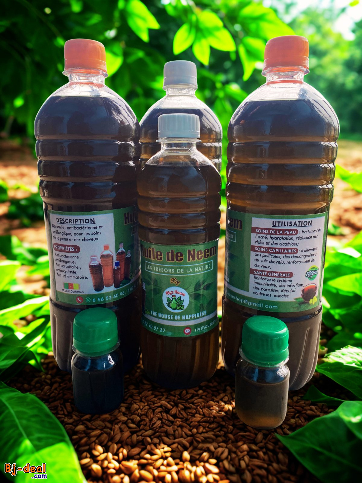 Main image of Huile de Neem et grains de Neem