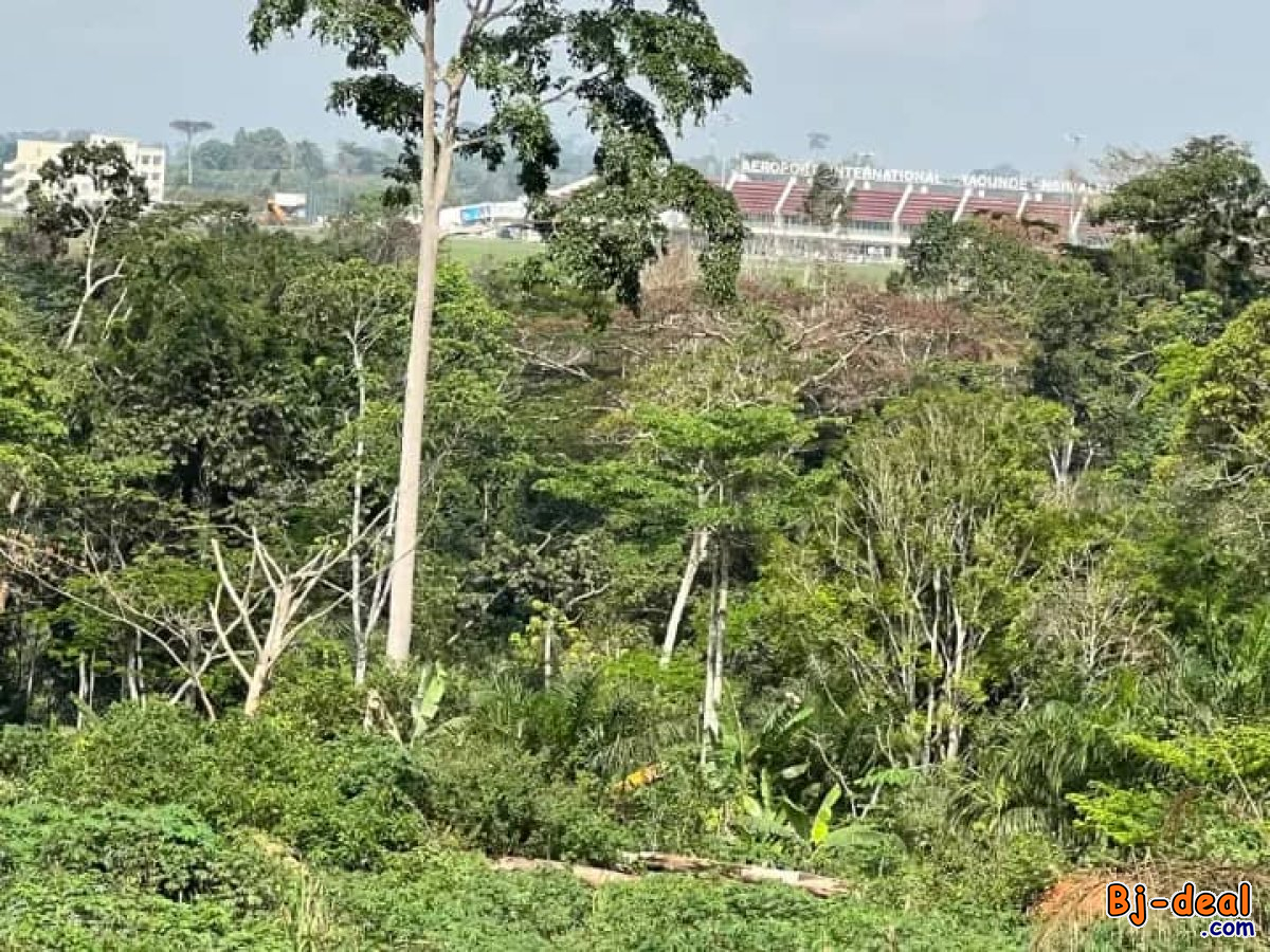 Image principale de Terrain 3500m² Abordable à vendre à Nsimalen