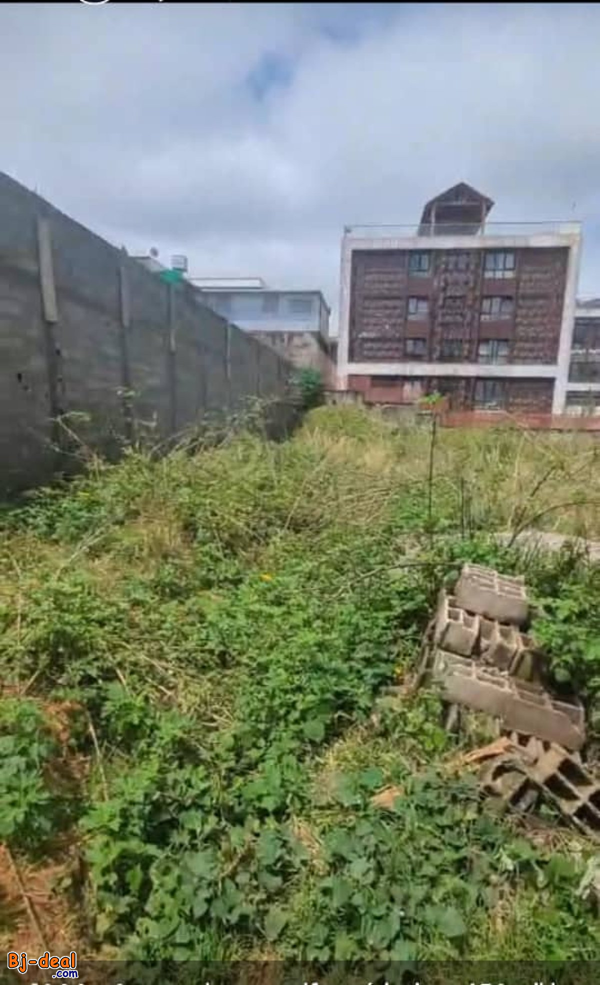 Image principale de Terrain de 1000m² à vendre à Bastos