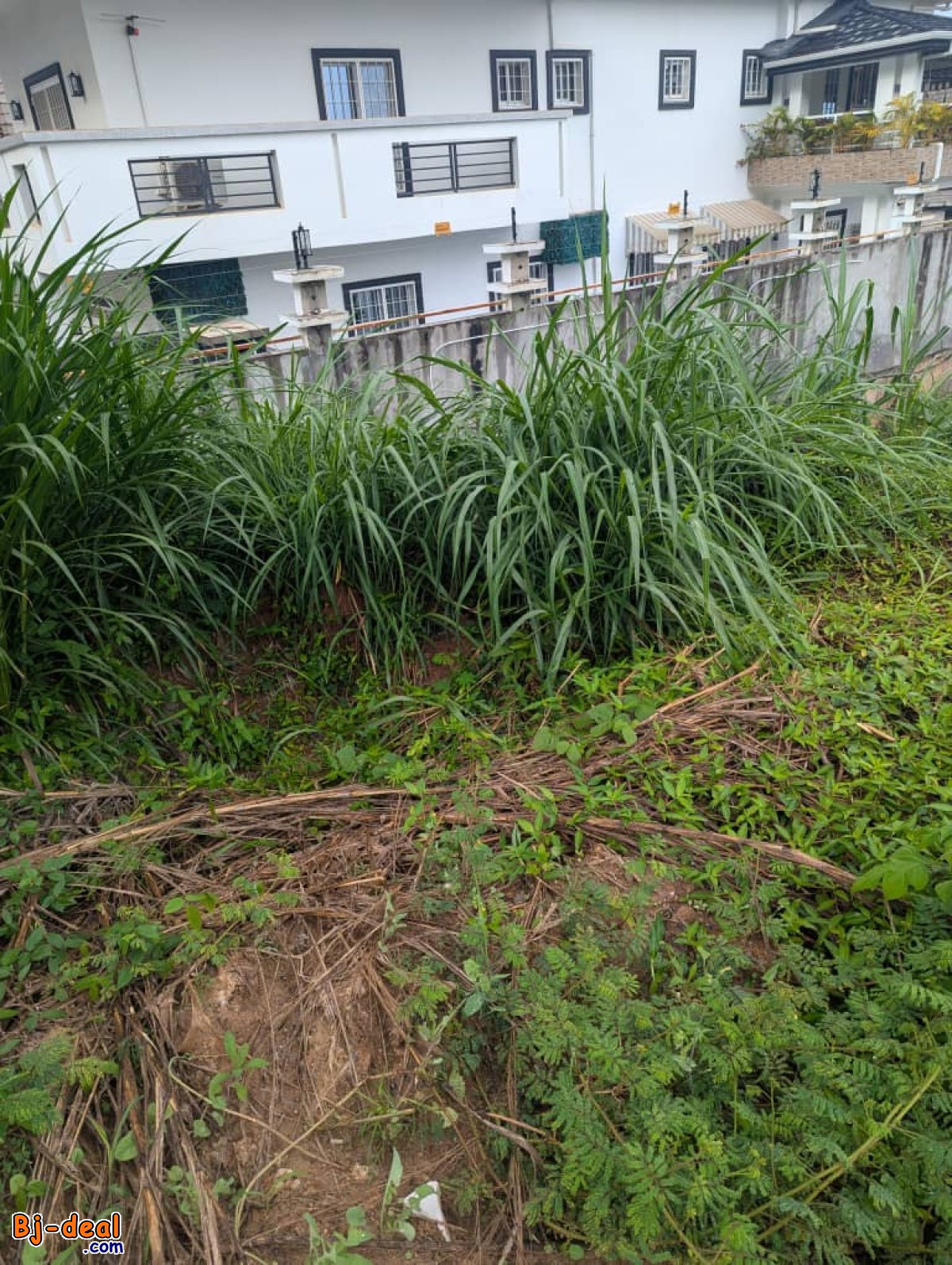 Image principale de Terrain Titré de 400m² à vendre à Bastos