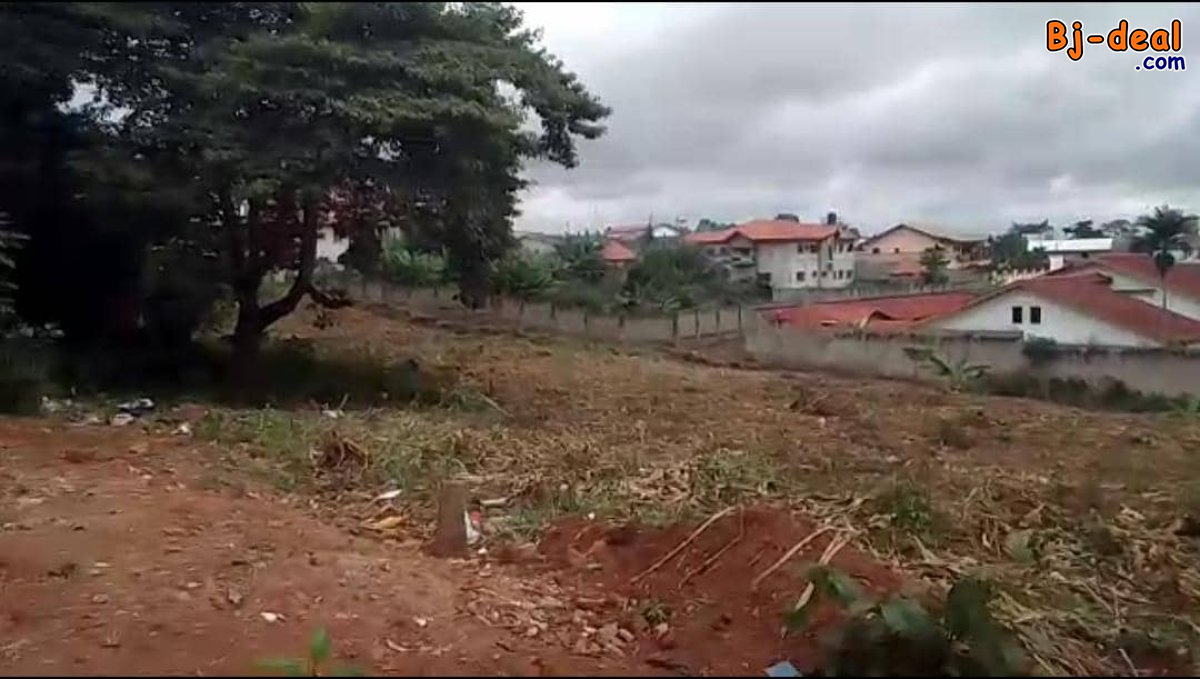 Image principale de Terrain Titré de 1367m² à vendre à Odza