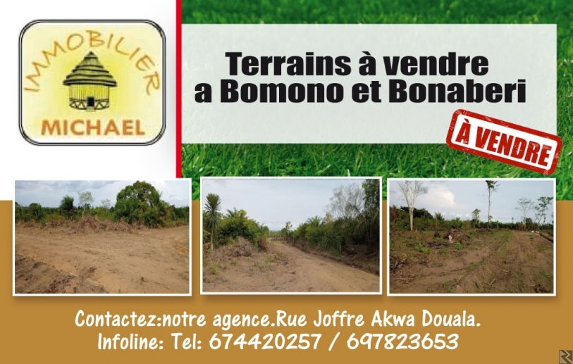 Main image of Terrains a vendre a Douala