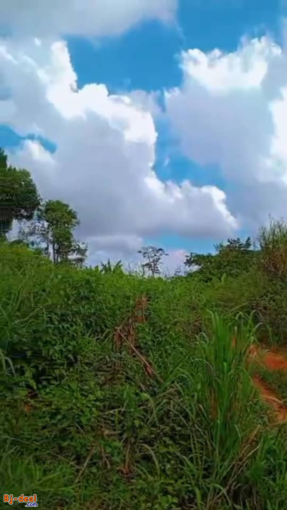 Image principale de Terrain Titré de 2000m² à vendre à Messassi