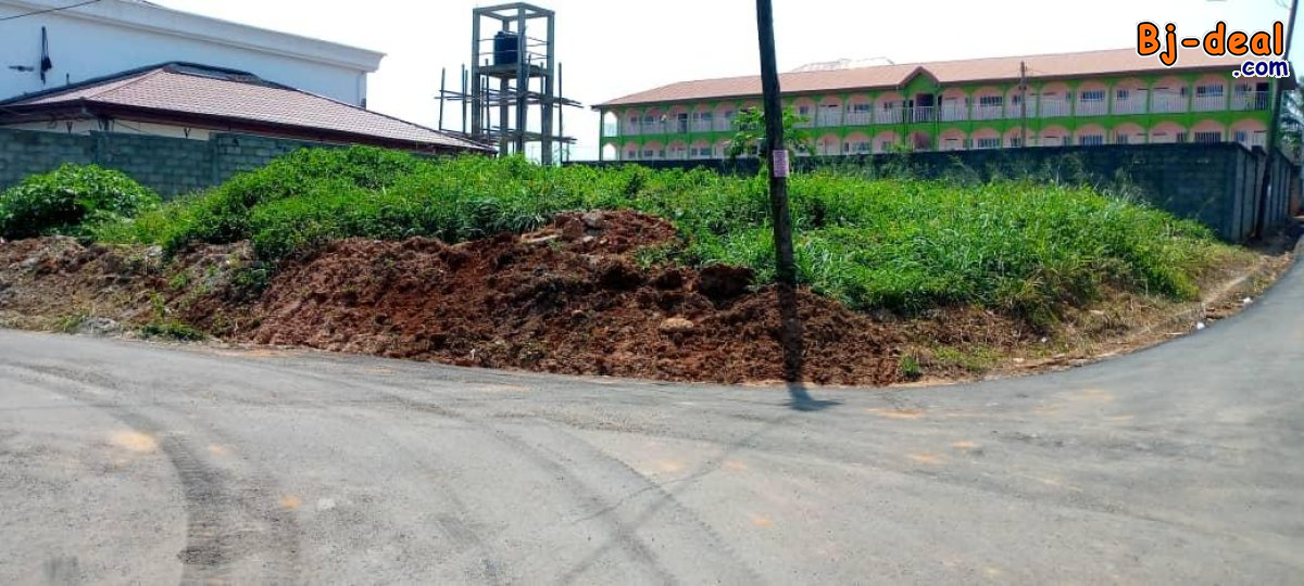 Image principale de Terrain Titré d&amp;#039;Angle de 530m² à vendre à Odza