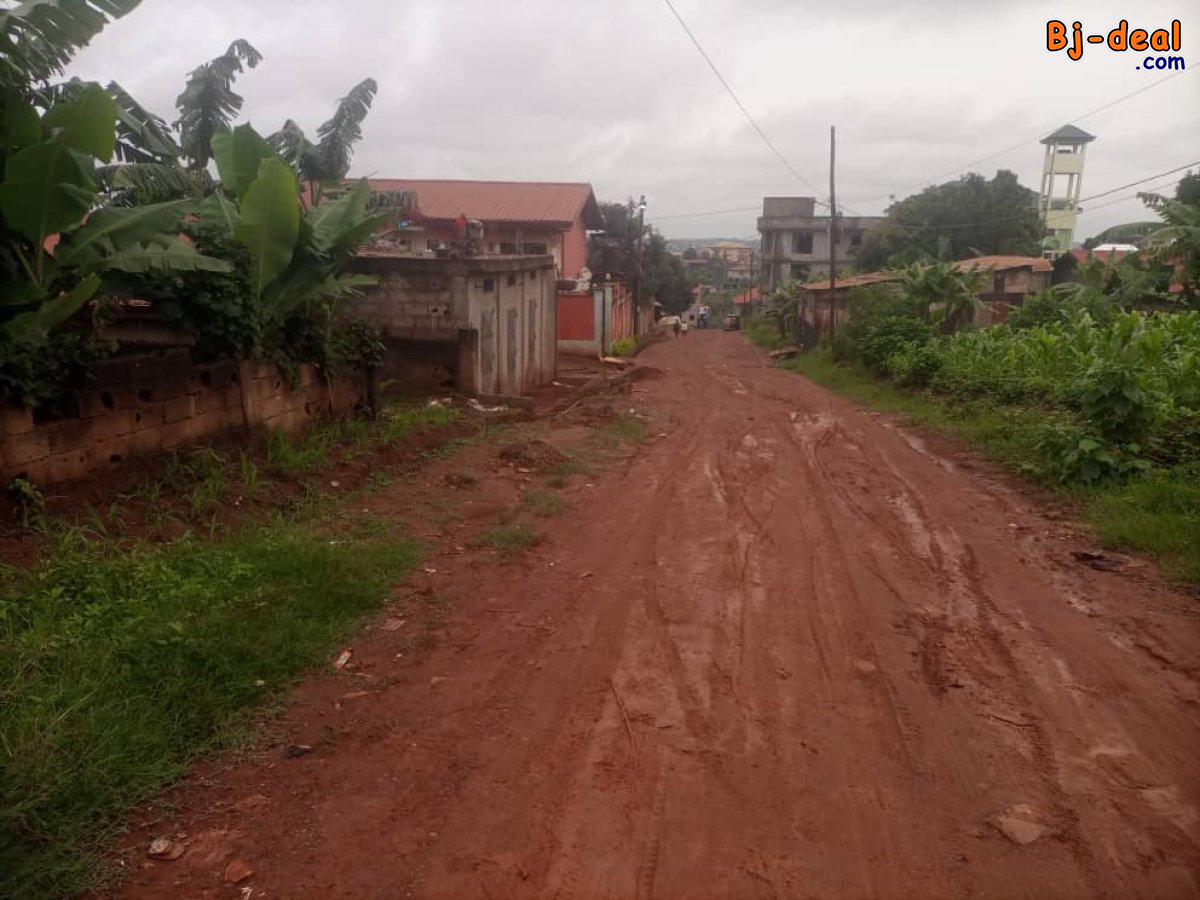 Image principale de Terrain Titré de 1162m² à vendre à Ngousso