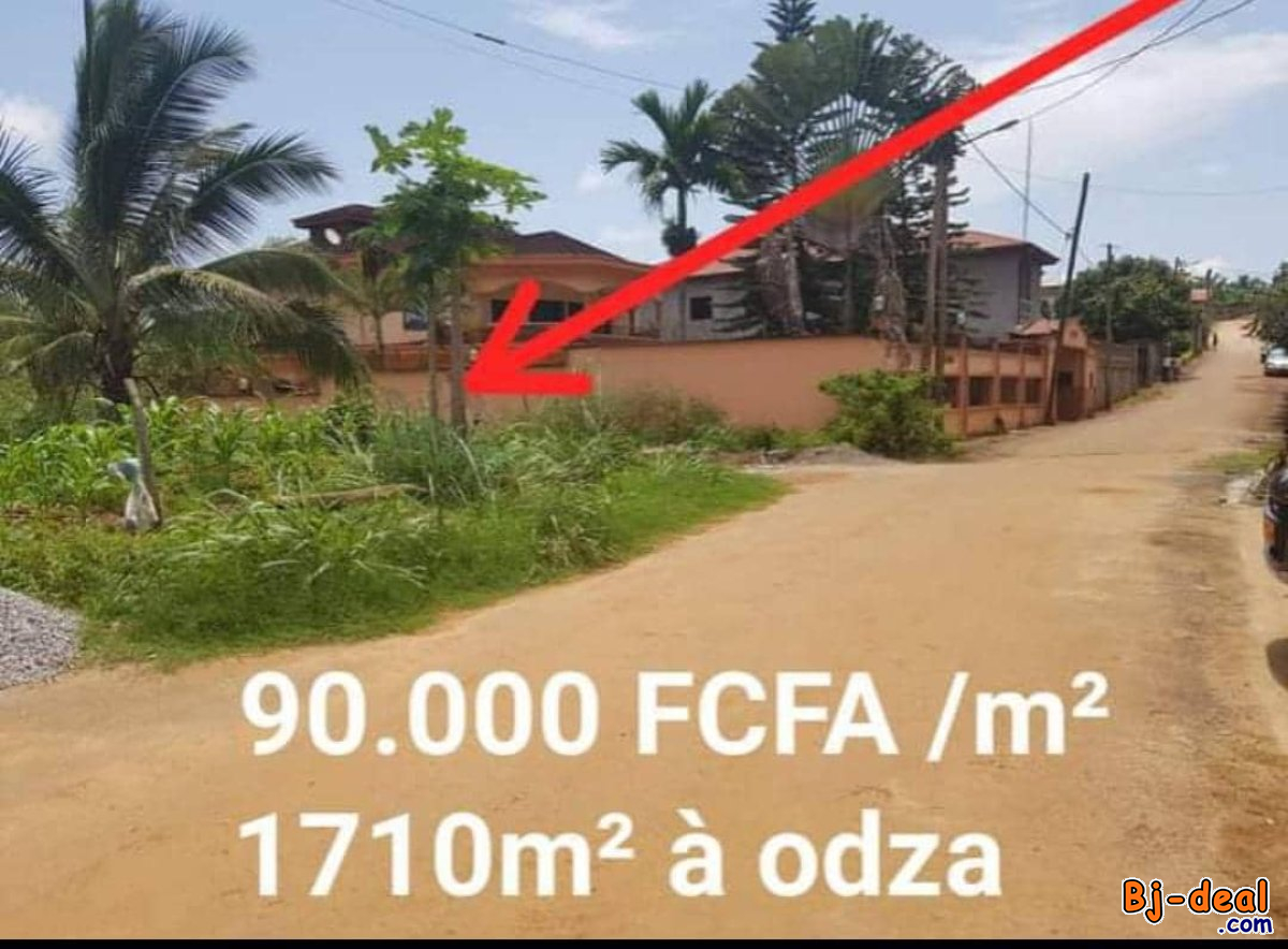 Image principale de Terrain Titré de 1710m² à vendre à Odza