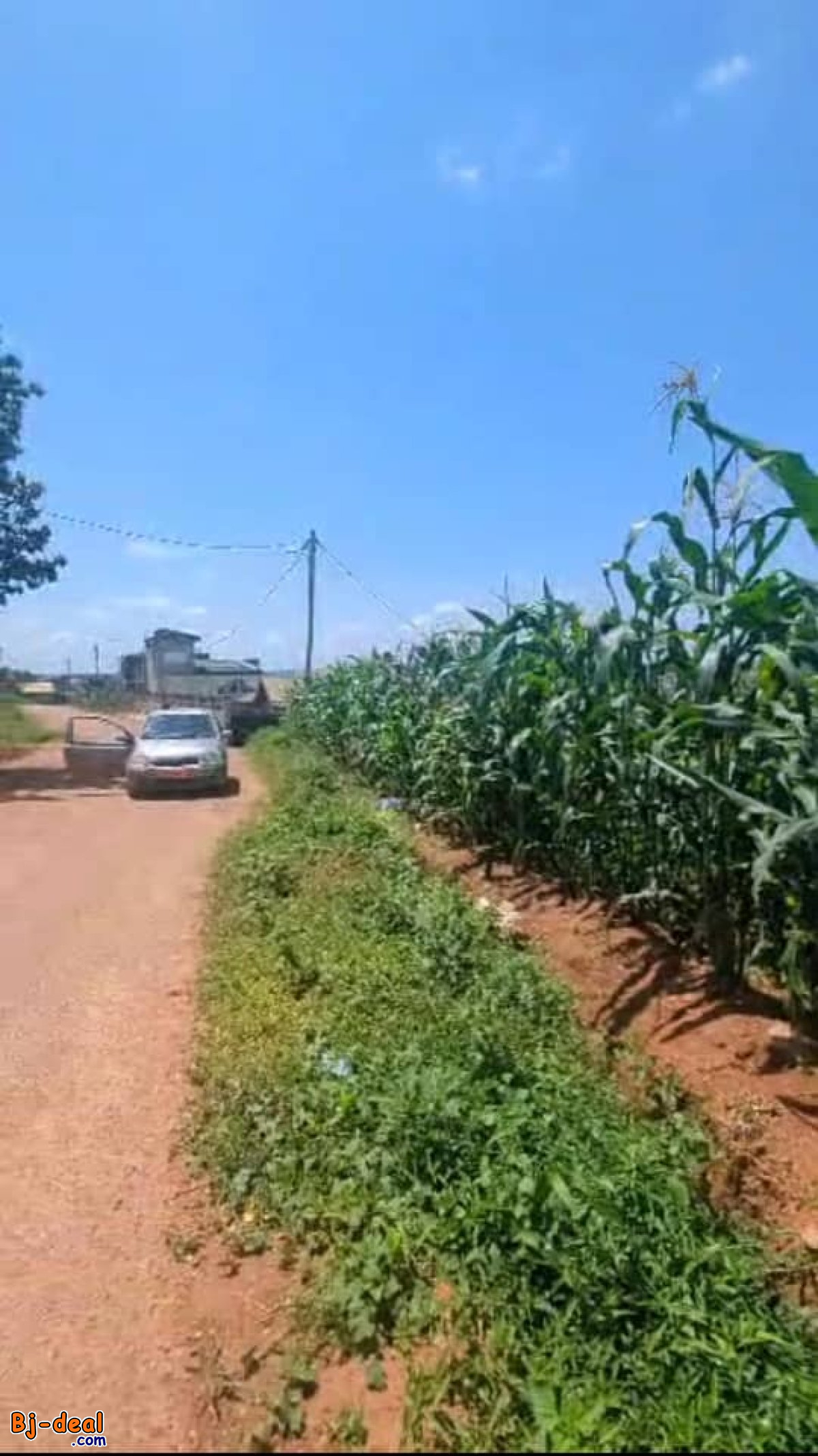 Image principale de Terrain Titré de 2000m² à vendre à Odza