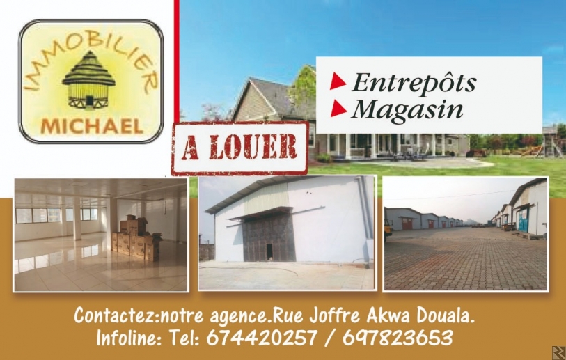 Main image of Magasin 1000m2 a louer a Bonaberi