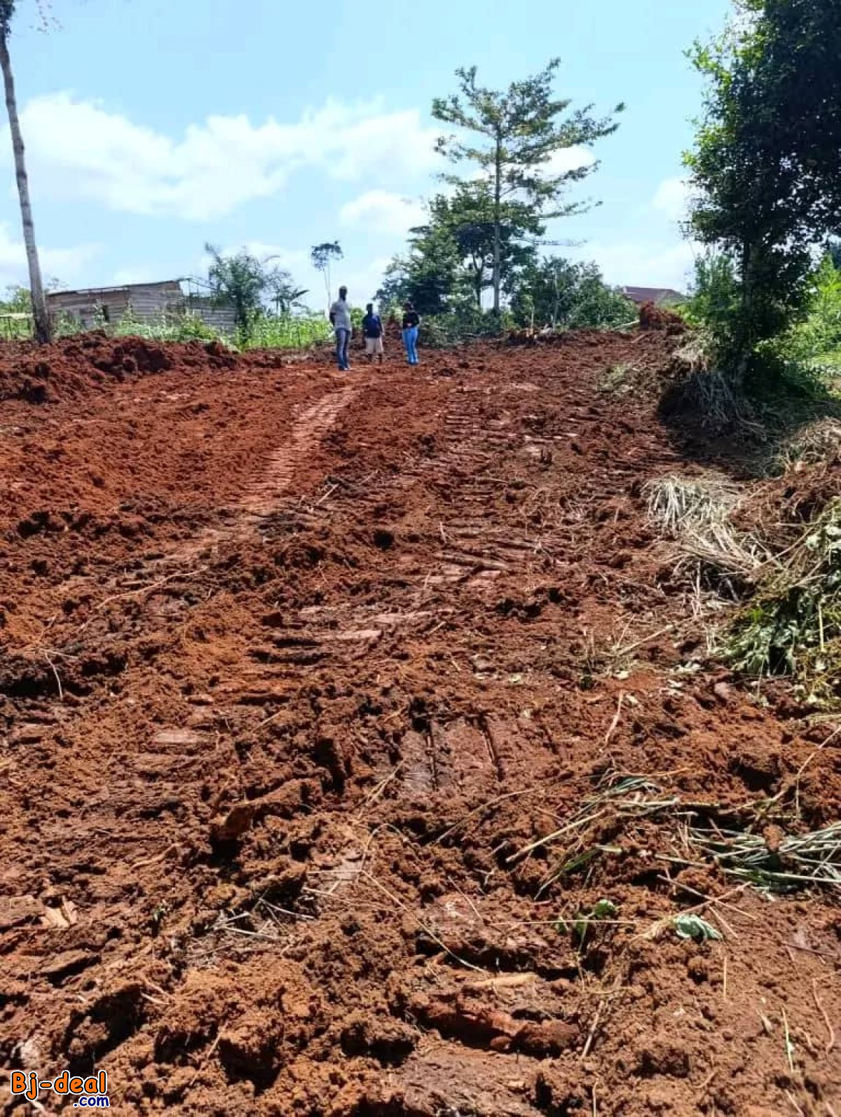 Image principale de Terrain Titré de 1000m² à vendre à Nsimalen