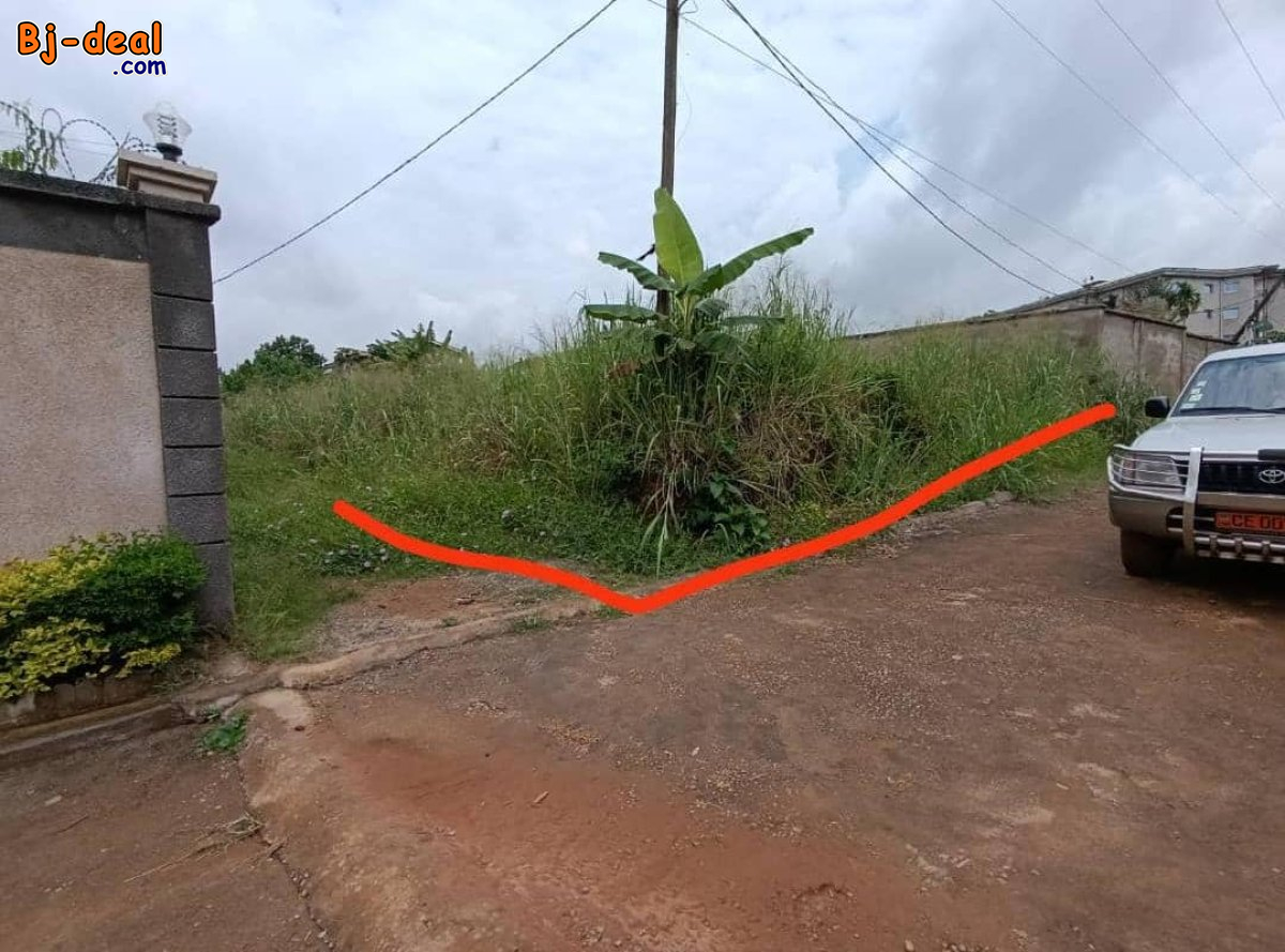 Image principale de Terrain Titré de 1000m² à vendre à Odza