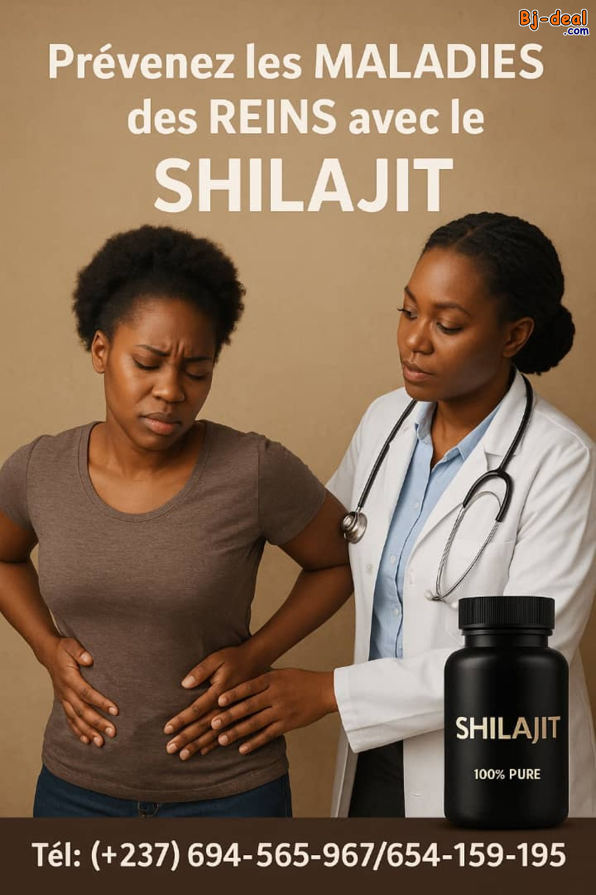 Main image of LE SHILAJIT ET LES REINS