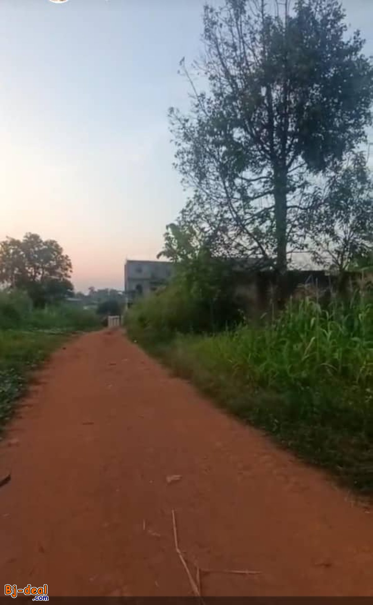 Image principale de Terrain Titré d&amp;#039;Angle de 1000m² à vendre à Nkoabang