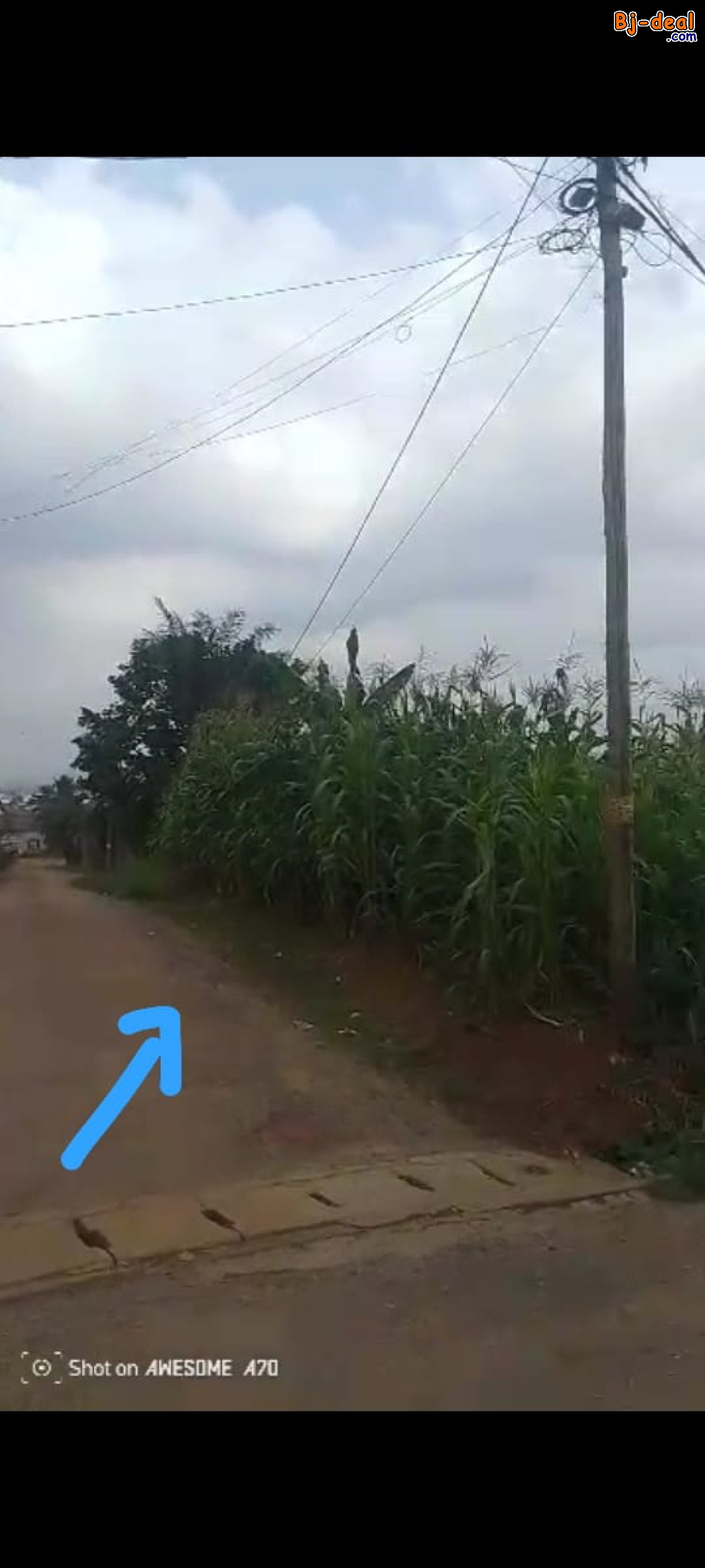 Image principale de Terrain Titré d&amp;#039;Angle de 1014m² à vendre à Odza