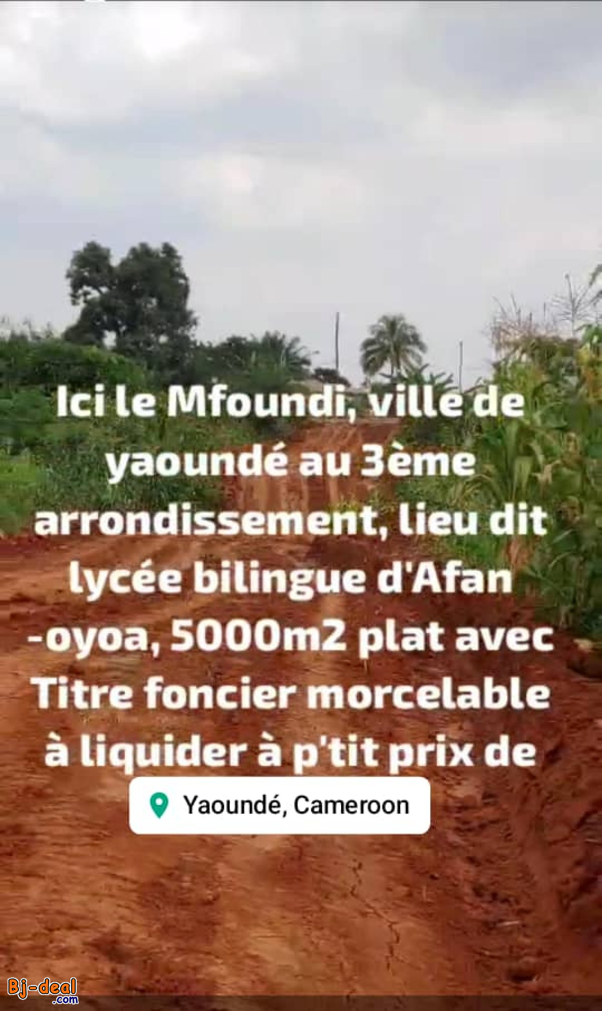 Main image of Terrain Titré à vendre à Ahala