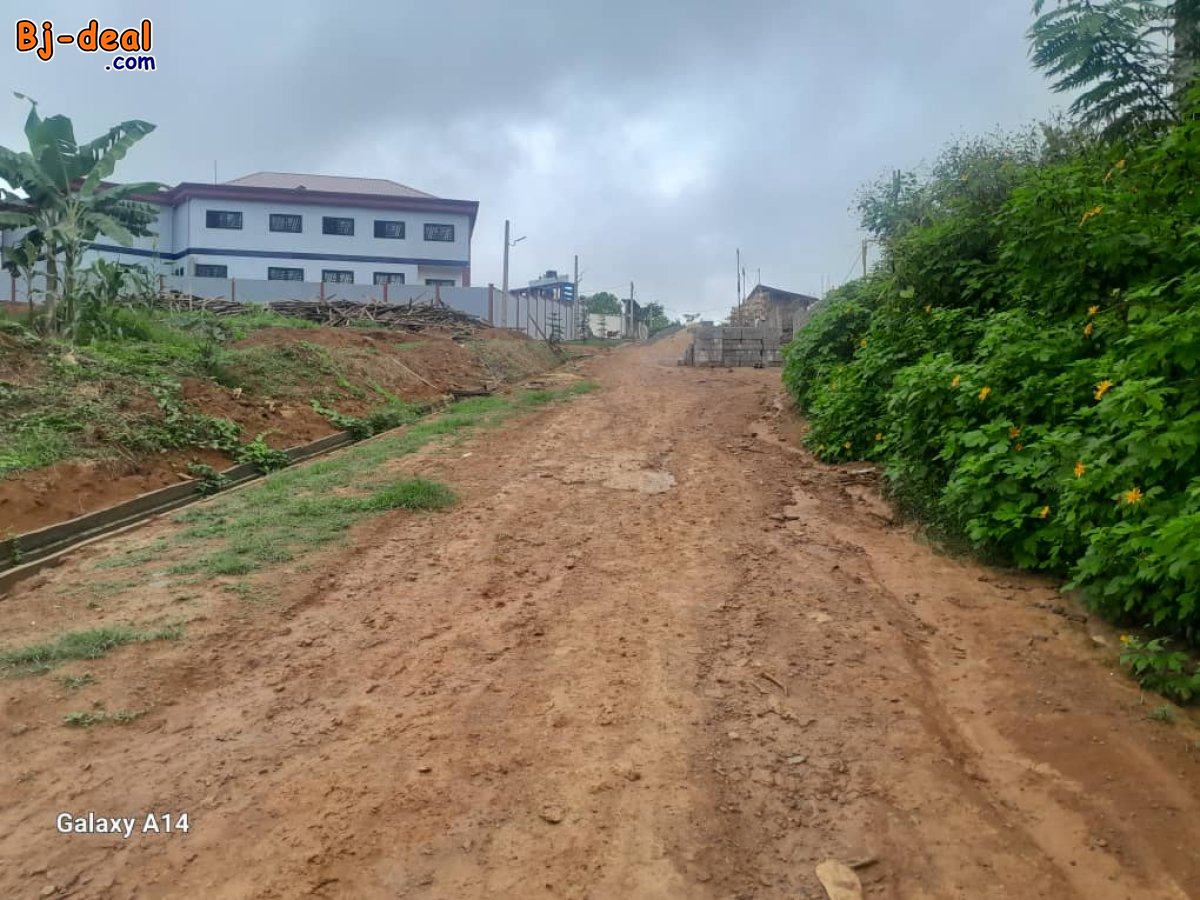 Main image of Terrain de 5000m² à vendre à Mbankolo