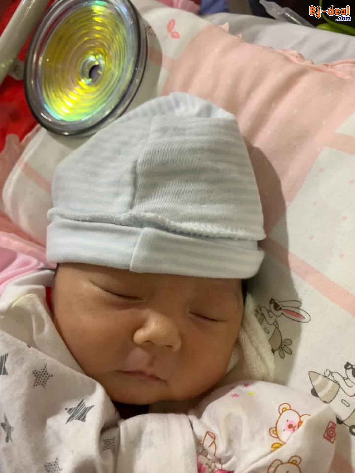 Main image of ALPHA SPIN NATURAL BZZWORLD