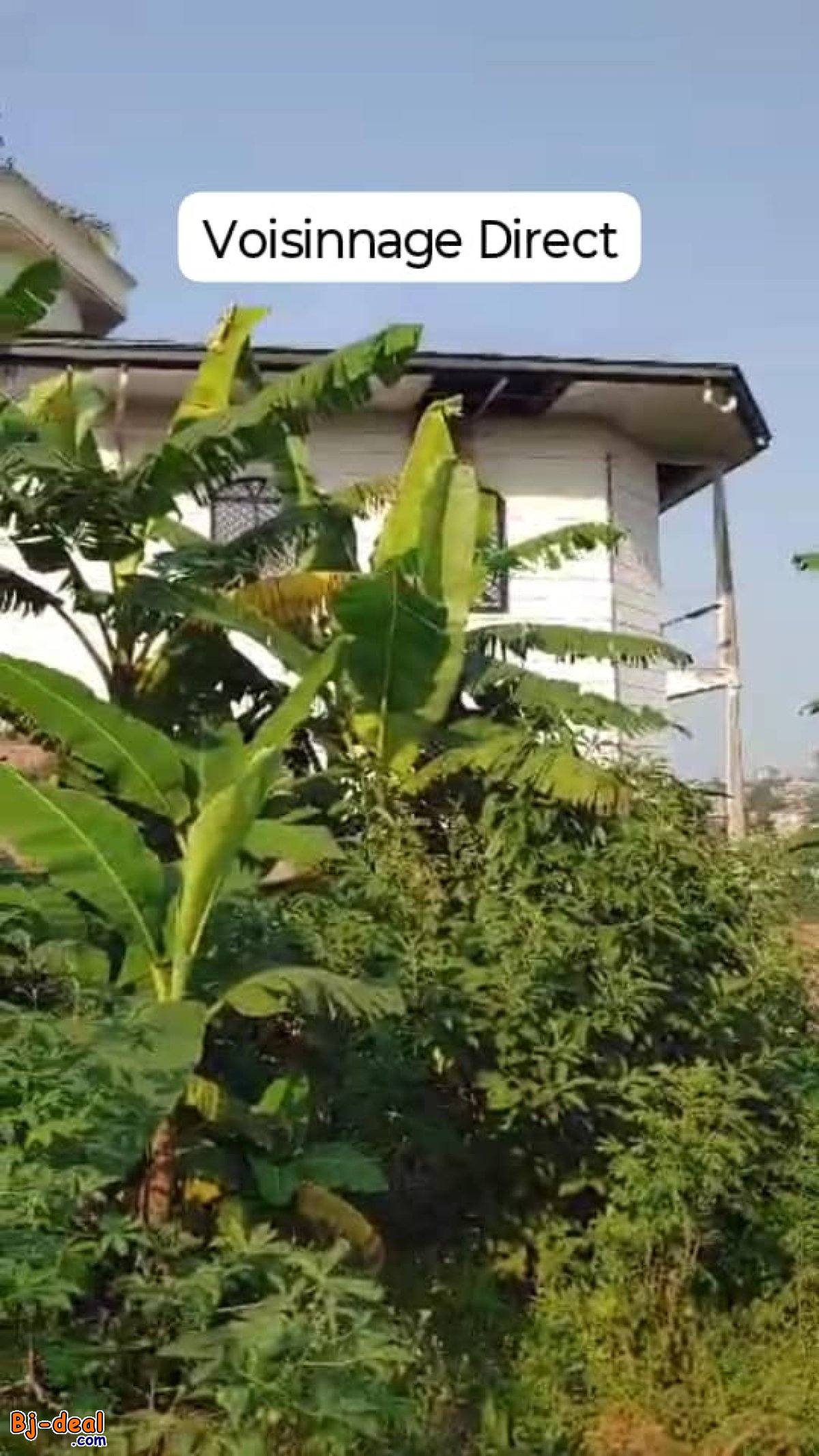 Main image of 02 Lots de Terrain Titré Jumelé en 1200m² à vendre à Mvan