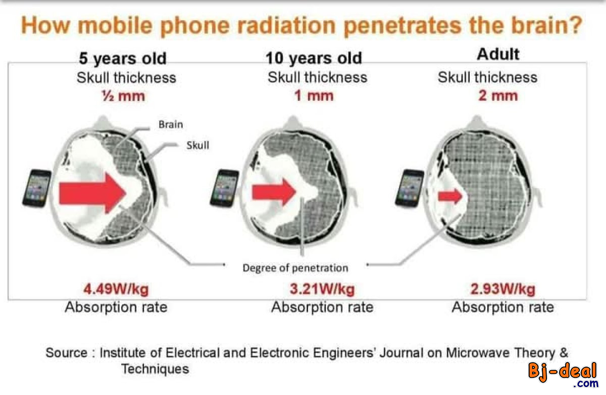 Main image of ALPHA SPIN NATURAL BZZWORLD