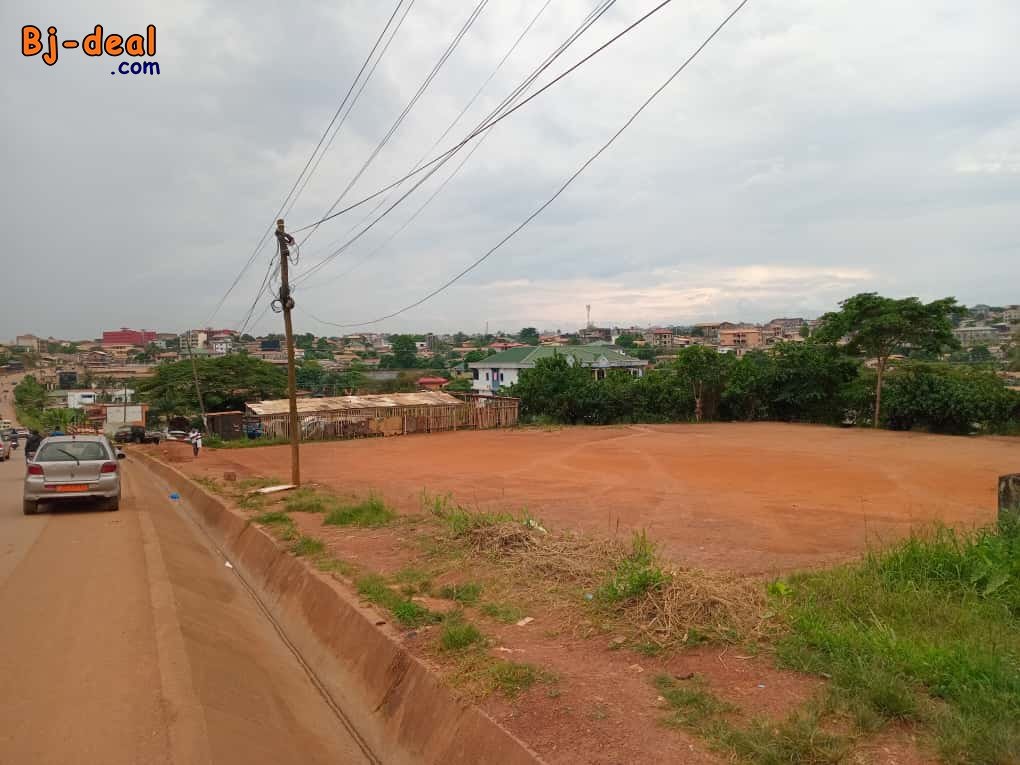 Main image of Terrain Commercial Titré de 3992m à vendre à Nkolfoulou