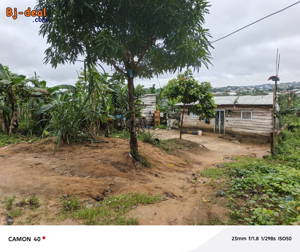 Main image of 200m NON TITRÉ à YASSA