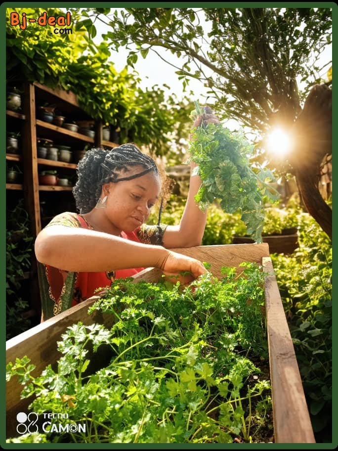 Main image of Pot des herbes essentielles