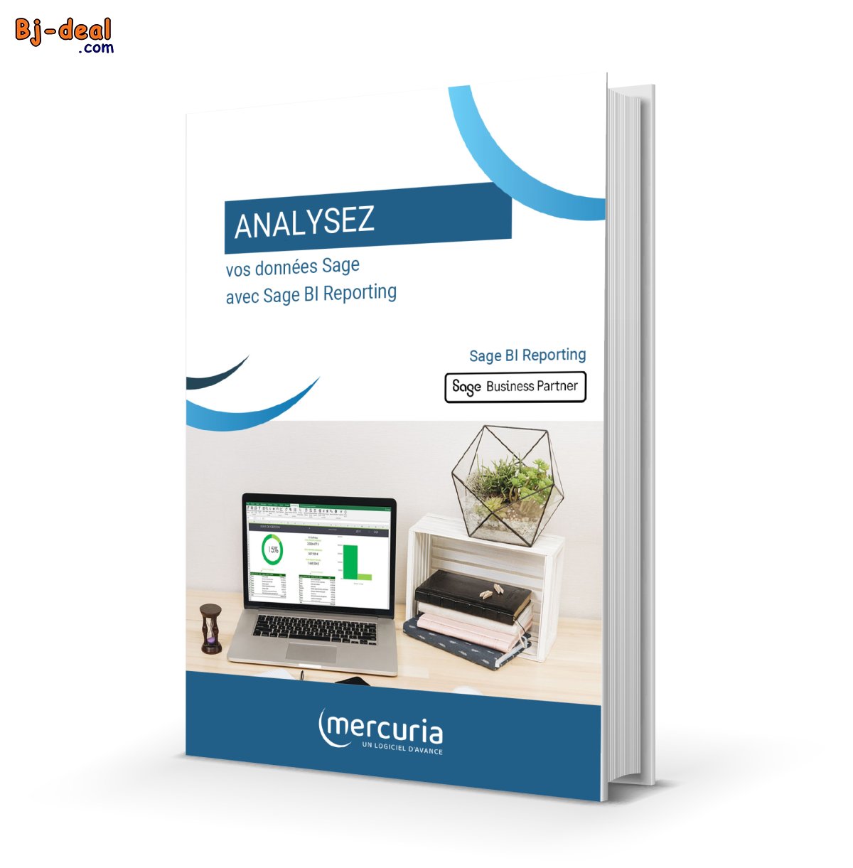 Image principale de SAGE 100 BI REPORTING AVEC LICENCE 10 ans