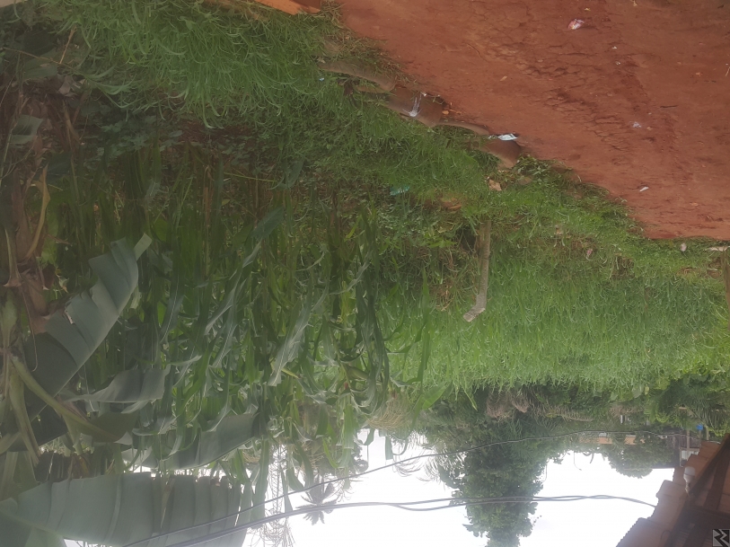 Main image of Des Terrains à  vendre