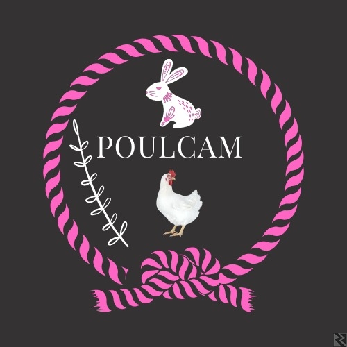 Main image of Offre demploi