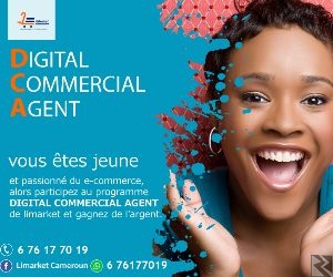 Main image of Digital Commercial Agents