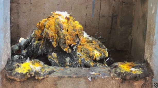 Main image of Marabout Féticheur