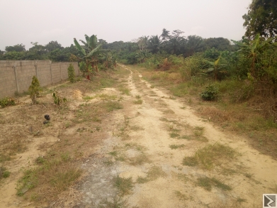 Image principale de Terrain a vendre a pk 25