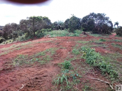 Image principale de Terrain a vendre