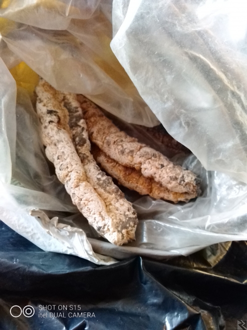 Image principale de Concombre de Mer