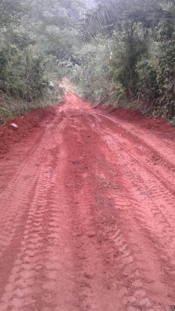 Main image of Terrain agricole titré à  vendre a Elat