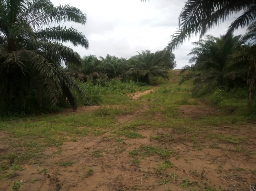 Image principale de Terrain Titré