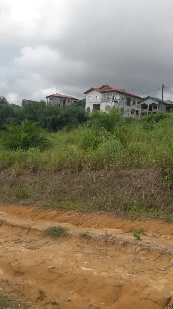 Image principale de Terrain Titré