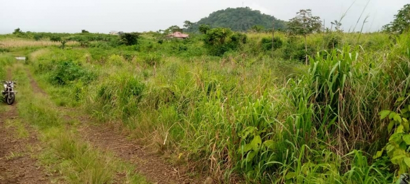 Image principale de Terrain Titré