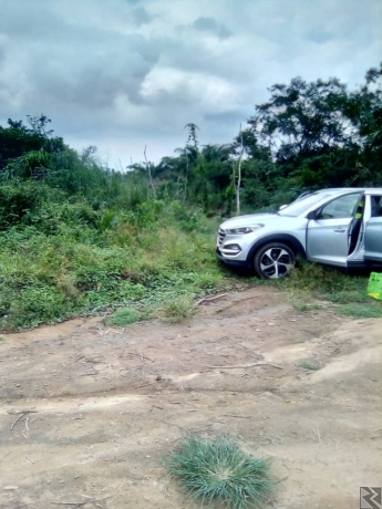 Image principale de Terrain Titré