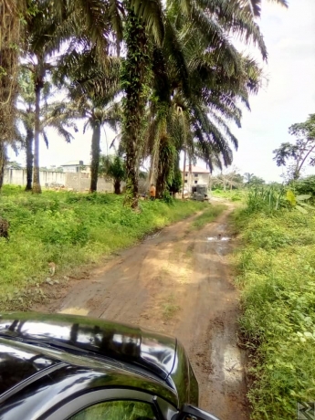 Image principale de Terrain Titré