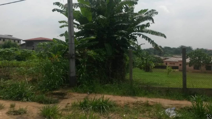 Image principale de Terrain Titré