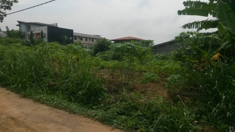 Image principale de Terrain Titré