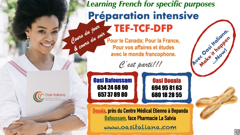Main image of Préparations intensives aux TCF-TEF-DFP
