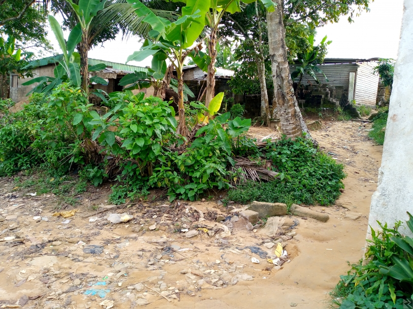 Image principale de Terrain titré a vendre a nyalla chà¢teau 300m2