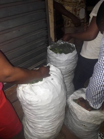 Image principale de Vente du gombo