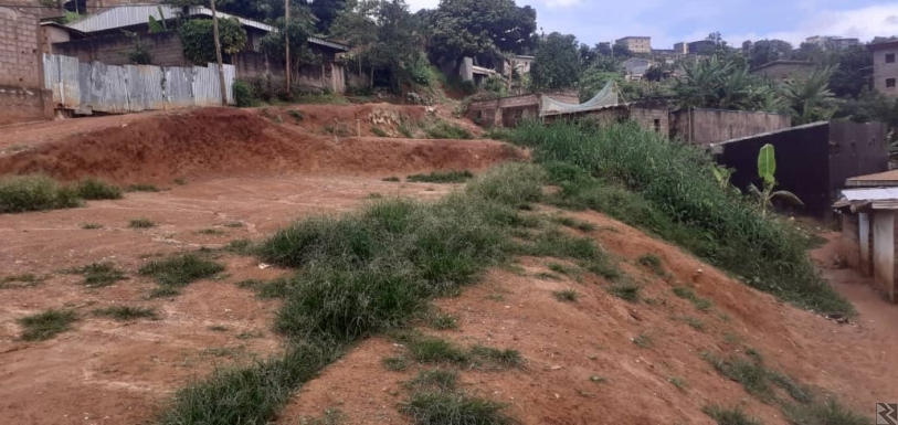 Main image of terrain titré a vendre a Ngousso