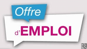 Main image of Auditeur Interne