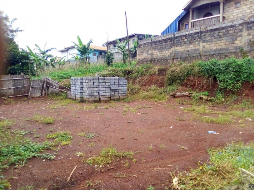 Main image of Maison a vendre a Bafoussam